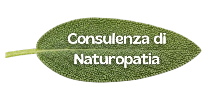 Consulenza di Naturopatia bologna Simona Benazzi