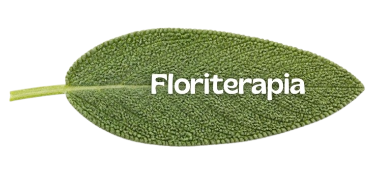 Floriterapia fiori di bach e fiori californiani bologna