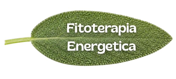 Fitoterapia energetica èiante offivinali rimedi naturali bologna