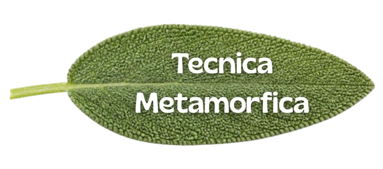 Tecnica metamorfica trattamento metamorfico
