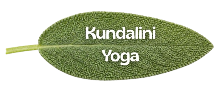 https://www.naturalyogahealing.it/tarologia/