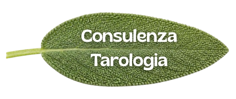 tarologia tarocchi evolutivi consulenza bologna