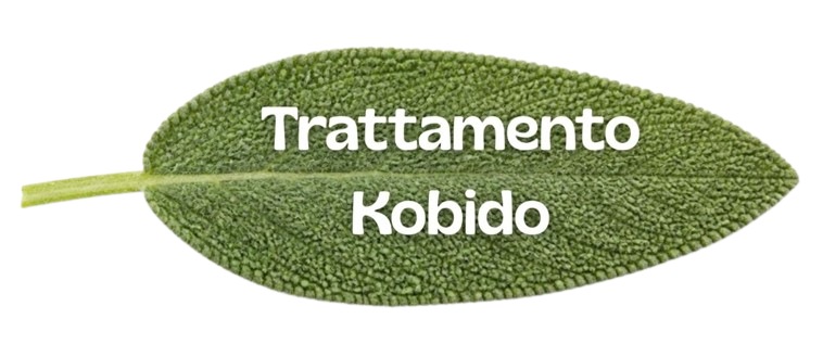 kobido vido bologna